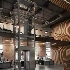 Luxury cogbelt home elevator